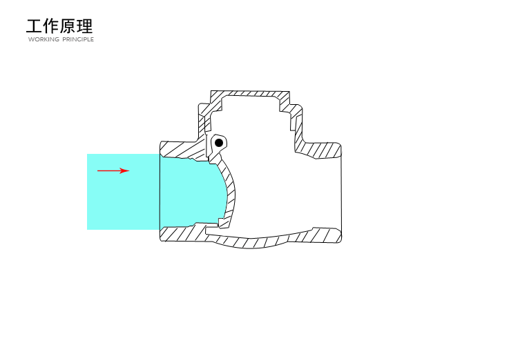 止回閥結(jié)構(gòu)種類(lèi)